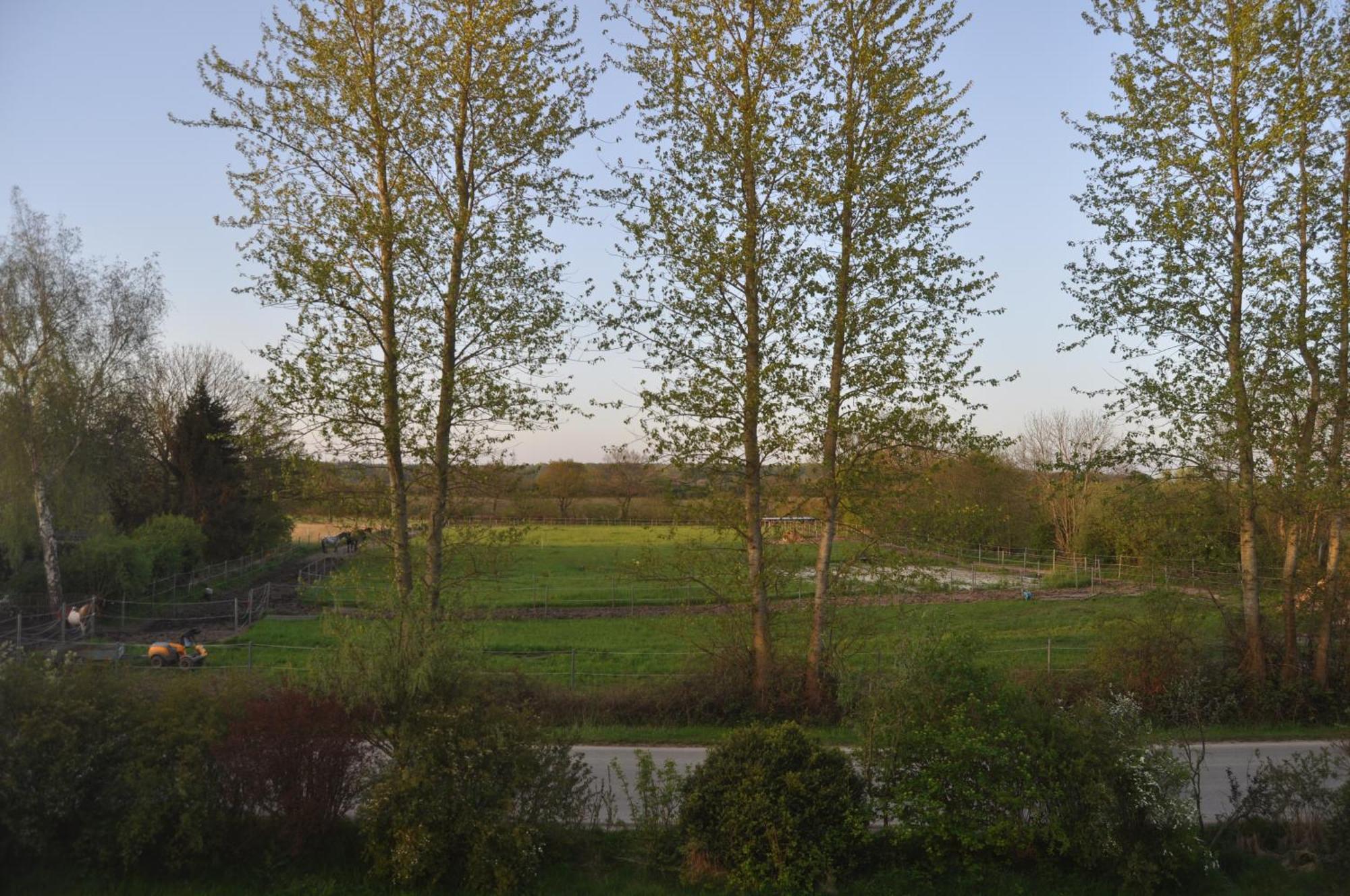 Ferienwohnung Kleiner Und Grosser Stern Stoltebull ภายนอก รูปภาพ